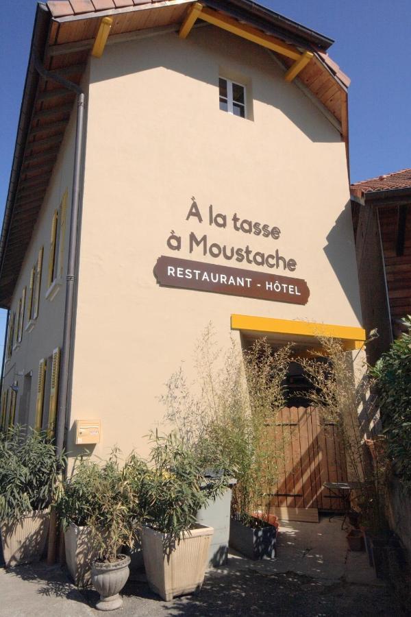 Hotel A La Tasse A Moustache Thonon-les-Bains Ngoại thất bức ảnh
